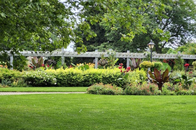 Landscaping