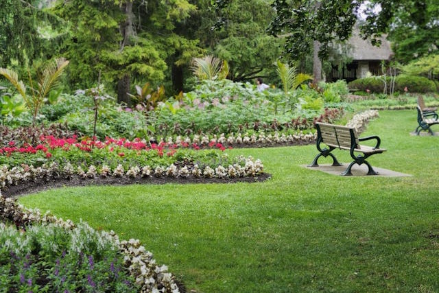 landscaping 2