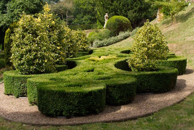 landscaping 3