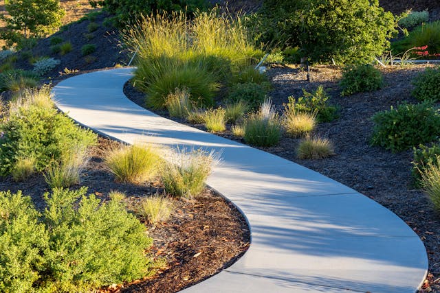 landscaping 4