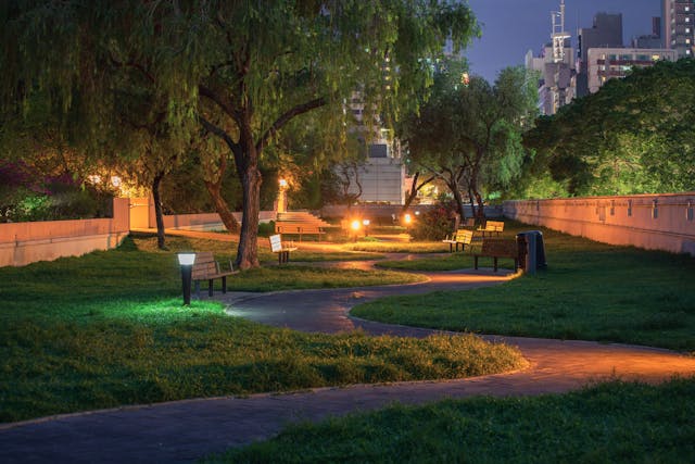 landscaping 6